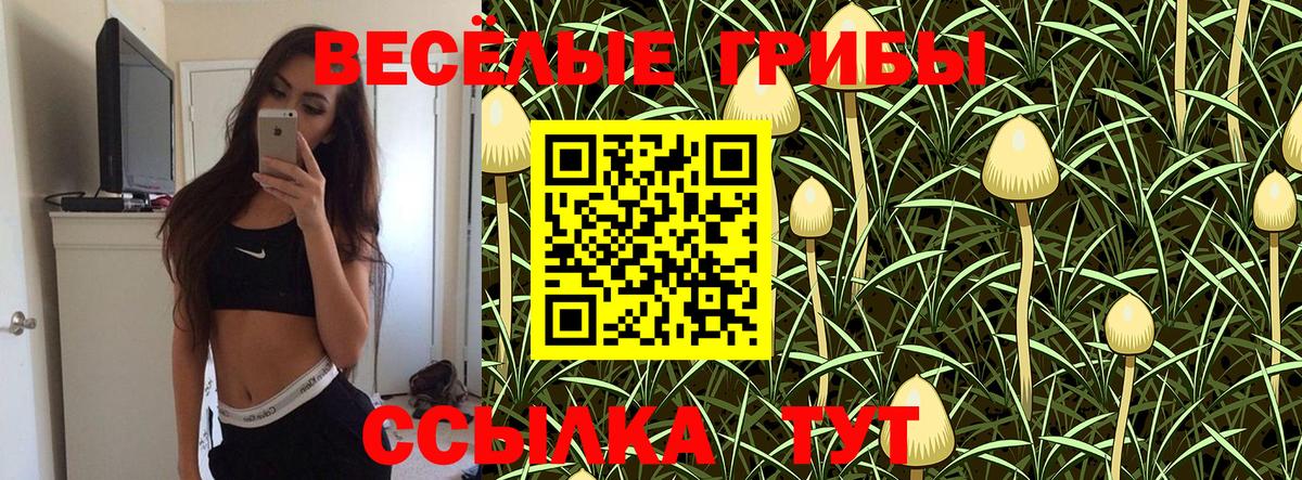 Галлюциногенные грибы Psilocybine cubensis  Вход с VPN  Ханты-Мансийск 